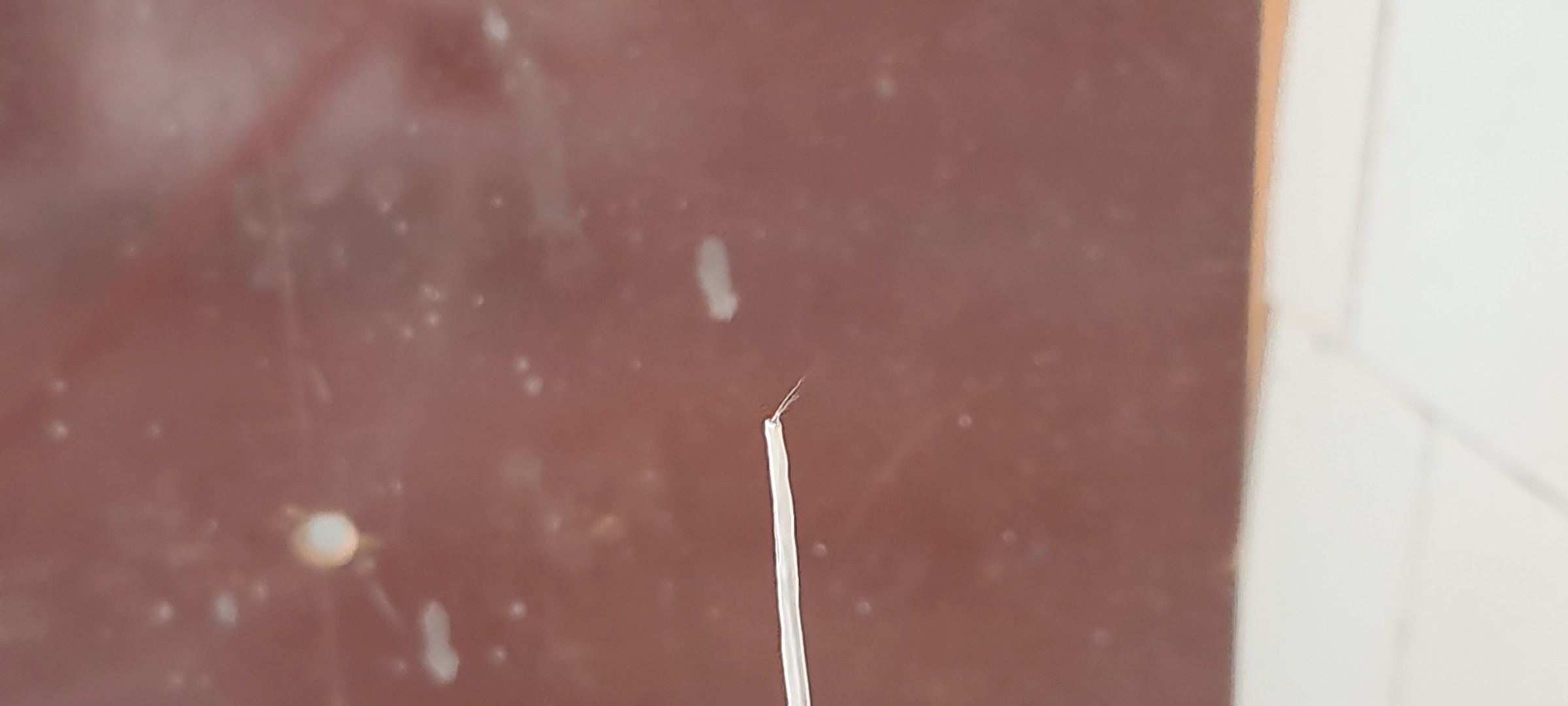 Electrospinning: Solution of PVDF in DMF (Unsuccessful Experiment)